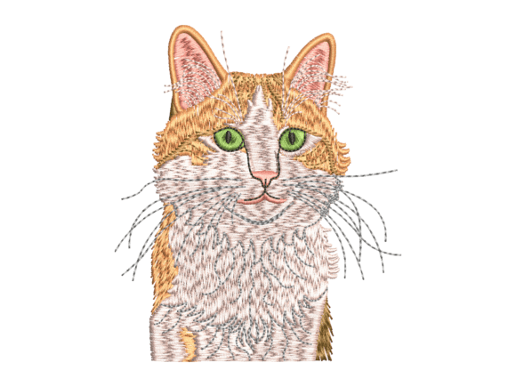 Green Eyed Tabby Cat Embroidery Review